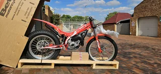 Trials bike:Beta Evo 80 Senior