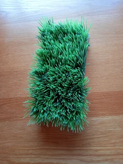 Aquarium plants and deco