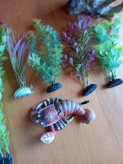 Aquarium plants and deco