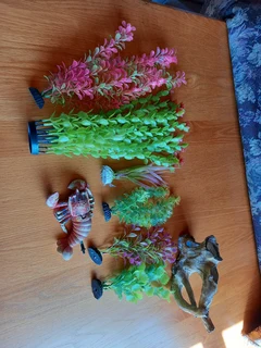 Aquarium plants and deco