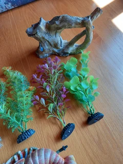 Aquarium plants and deco