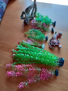 Aquarium plants and deco