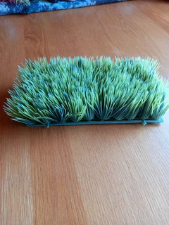 Aquarium plants and deco