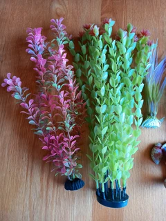 Aquarium plants and deco