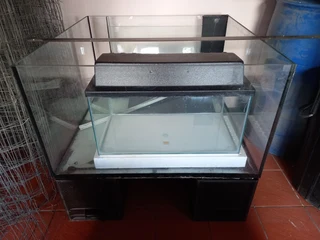 Aquarium - Ad posted by Prehern