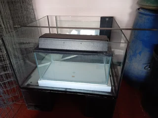 Aquarium - Ad posted by Prehern