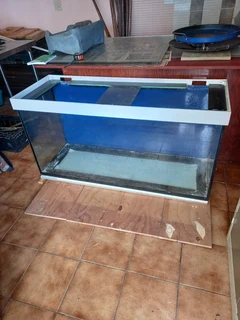 Aquarium - Ad posted by Prehern