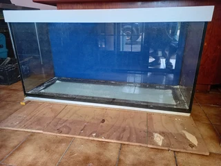 Aquarium - Ad posted by Prehern