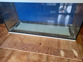 Aquarium - Ad posted by Prehern