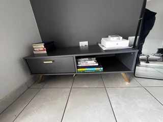 Couch (Sleeper) and Coffee Table