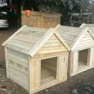 Pinewood dog kennels