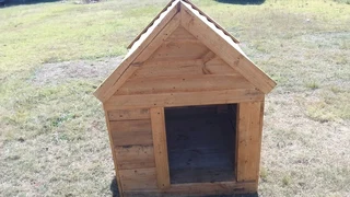 Pinewood dog kennels