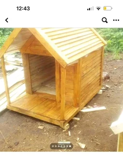 Pinewood dog kennels