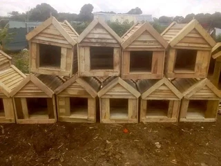 Pinewood dog kennels