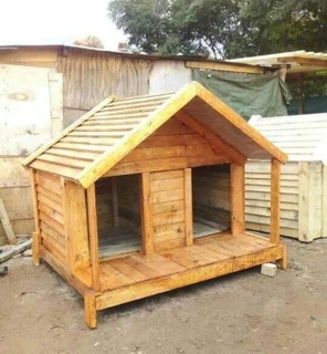 Pinewood dog kennels