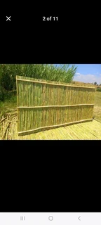 Bamboo fences