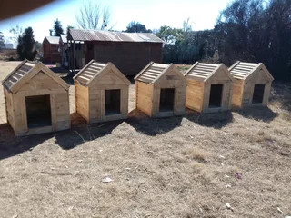 Pinewood dog kennels.