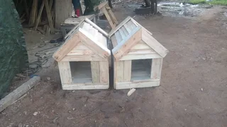 Pinewood dog kennels.
