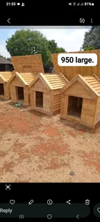 Pinewood dog kennels.