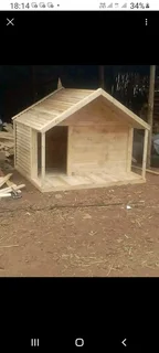 Pinewood dog kennels.