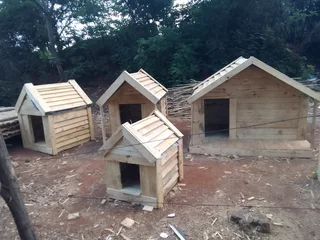 Pinewood dog kennels.