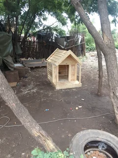 Pinewood dog kennels.