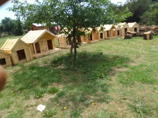 Pinewood dog kennels.