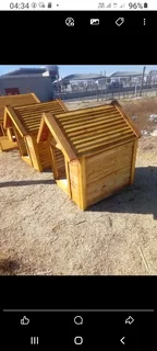 Pinewood dog kennels.