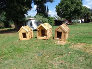 Pinewood dog kennels.