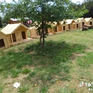 Pinewood dog kennels.