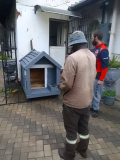 Pinewood dog kennels.