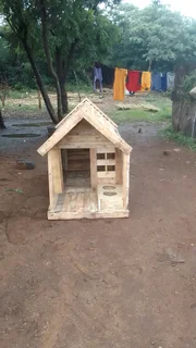 Pinewood dog kennels.