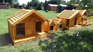 Pinewood dog kennels.