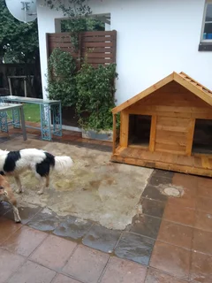 Pinewood dog kennels.