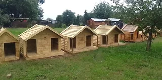 Pinewood dog kennels.