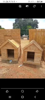 Pinewood dog kennels.