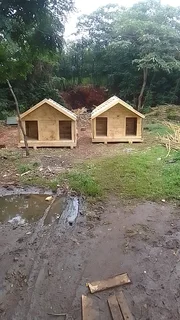 Pinewood dog kennels.