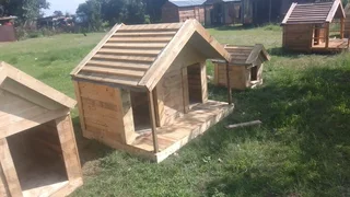 Pinewood dog kennels.