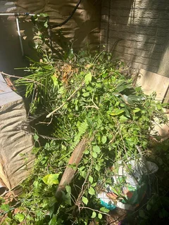 CLEAR ALL RUBBLE AND JUNK REMOVAL