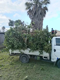 We Are Doing All Types Of Rubble Removals , Junk Mix’s And Yards Cleaning 粒