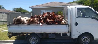 TREE FELLING SERVICE FOR OUR VAIUED CLIENTSHEAVY STORM IS AROUND THE CORNER ⛈