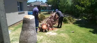 TREE FELLING SERVICE FOR OUR VAIUED CLIENTSHEAVY STORM IS AROUND THE CORNER ⛈