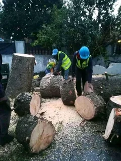 TREE FELLING SERVICE FOR OUR VAIUED CLIENTSHEAVY STORM IS AROUND THE CORNER ⛈