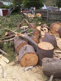 TREE FELLING SERVICE FOR OUR VAIUED CLIENTSHEAVY STORM IS AROUND THE CORNER ⛈