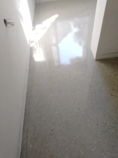 Grinding and Polishing of Floors