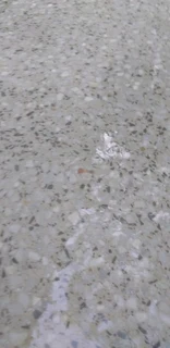Grinding and polishing of floors