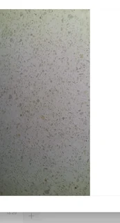 Grinding and polishing of floors