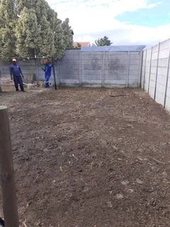 Cheap half brick Paving