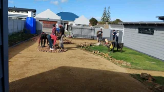 Half brick professional