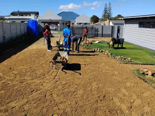 Half brick professional